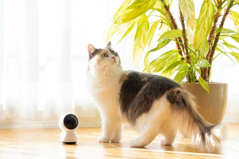 （画像はイメージ）