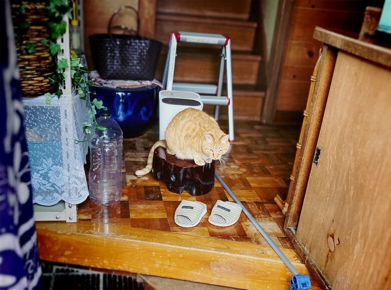 ビワくん（提供：サユヤスさん）