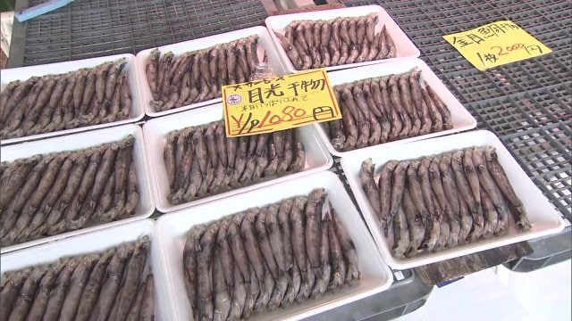 いわきといえばメヒカリ