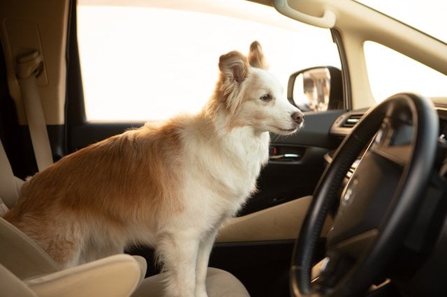 （画像はイメージ）