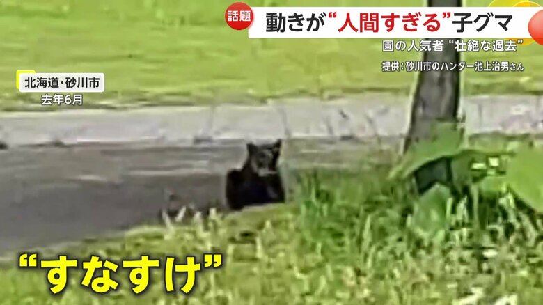 親とはぐれて弱っていたすなすけ