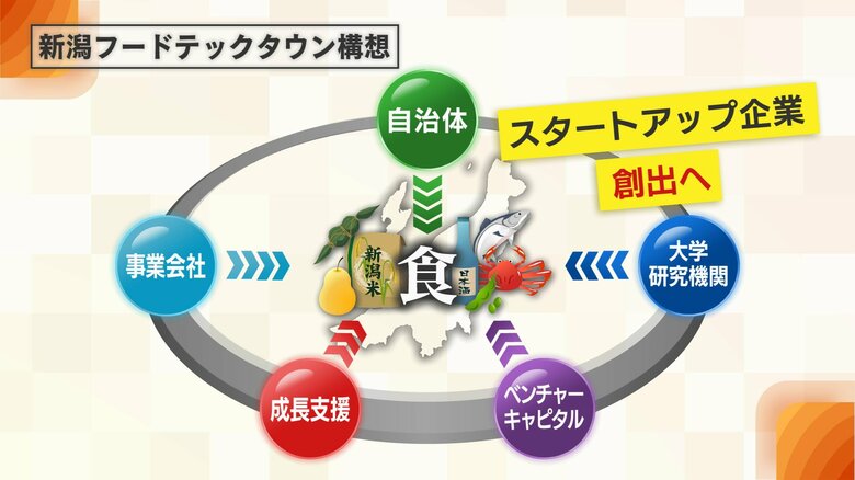 新潟フードテックタウン構想