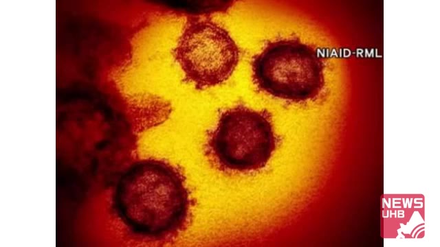 北海道新たな19人中12人は「高校のクラスター」拡大…計