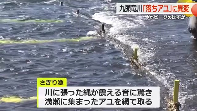 網を川に張って流れを遮る