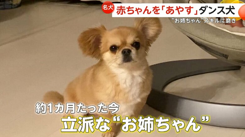 赤ちゃんをあやし、泣きやませた4歳のハナちゃん