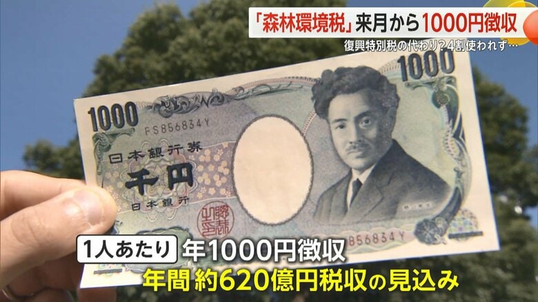 6月から年額1000円徴収される森林環境税