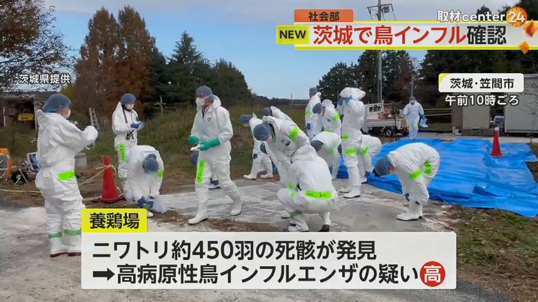 鳥インフルエンザウイルスの陽性が確認された茨城県笠間市の養鶏場