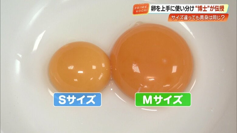 SサイズとMサイズの黄身を比較