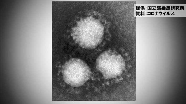 新型肺炎の中国発表の発症者数に疑念浮上…すでに1700人を超えているとの発表も どうなる?日本の水際対策