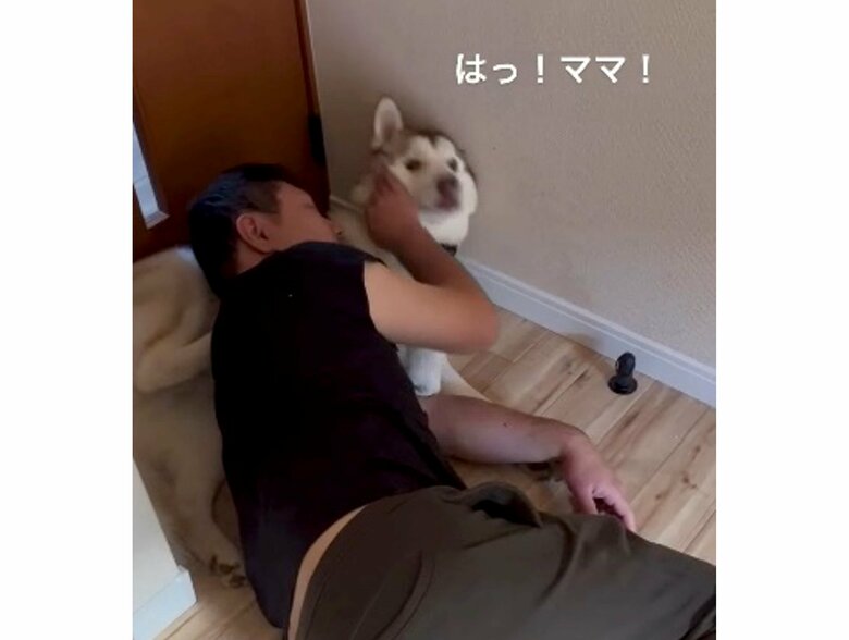提供：キャプテン・レゴシさん