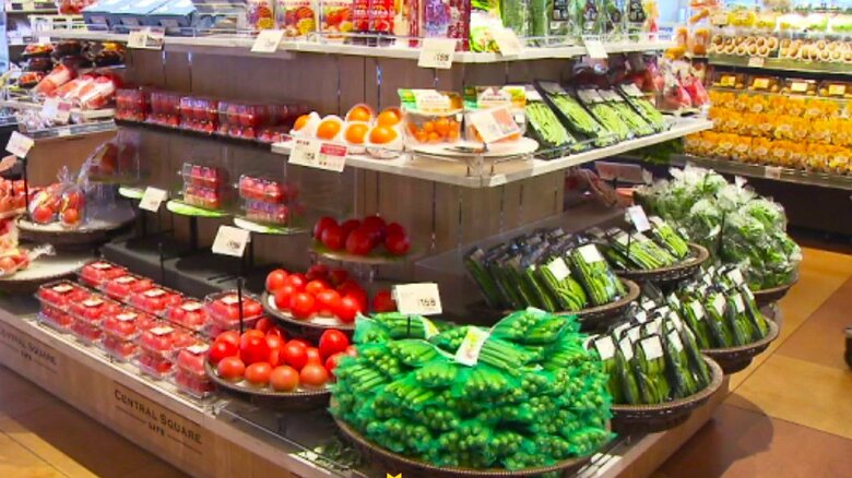 夏野菜で「食べる水分補給」　イメージ