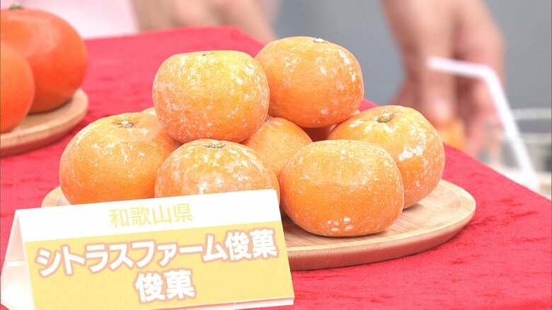 和歌山県 シトラスファーム俊菓「俊菓」2.5キロ 2800円