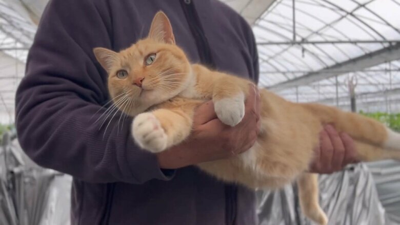 リラックスしてこんな姿も