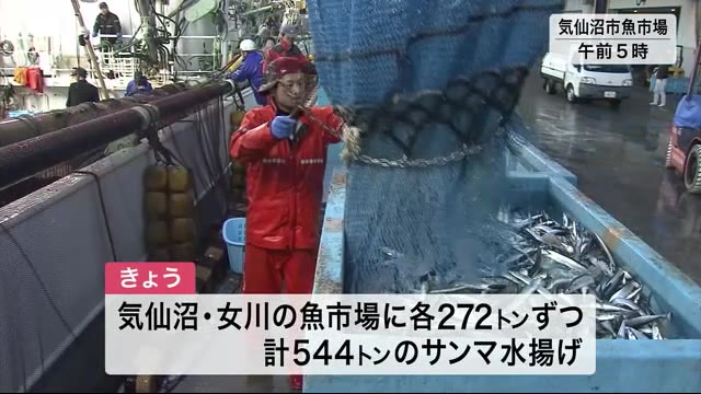 計500トン超!サンマ水揚げ 気仙沼と女川 2つの魚市場で〈宮城〉