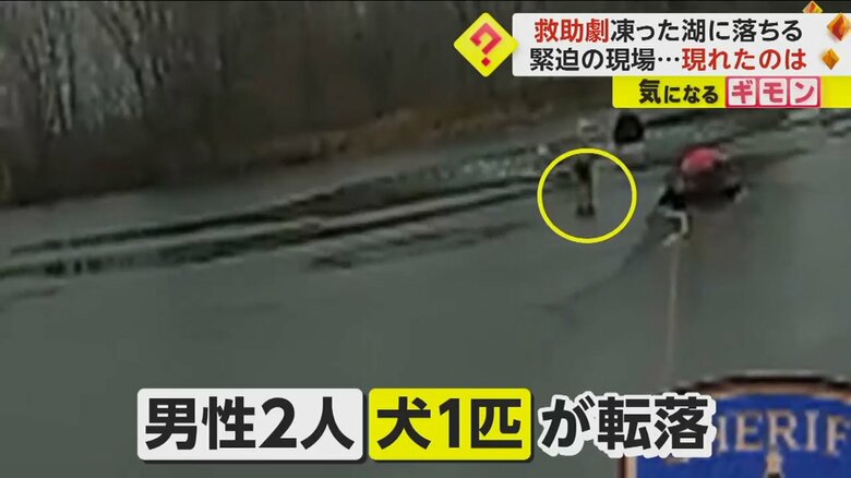 2人目の救助に向かう警察官の横を歩く犬