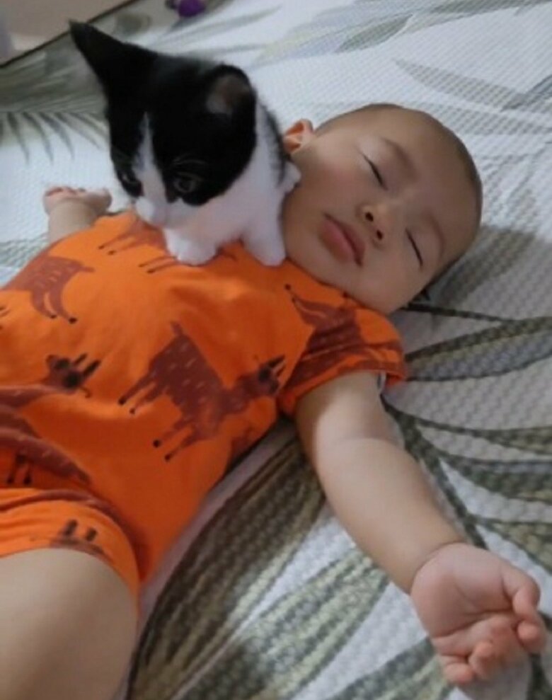 凪くんに乗られても爆睡している蓮慈くん