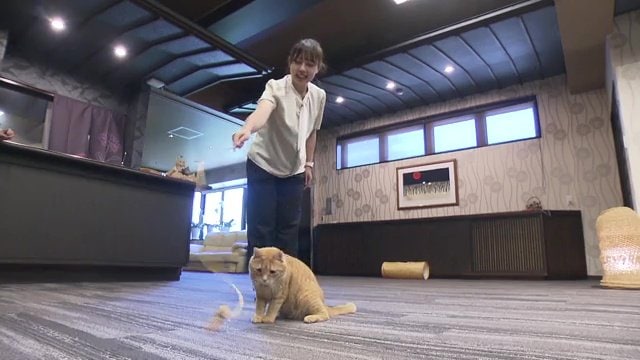 温泉と猫でリフレッシュ