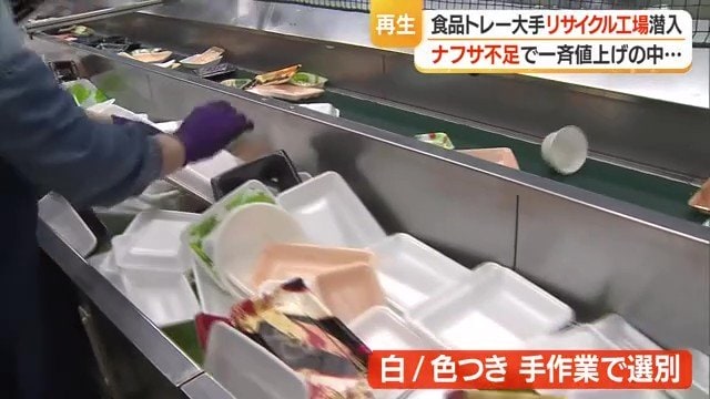 白いトレーと色・柄つきトレーに選別する工程は“手作業”