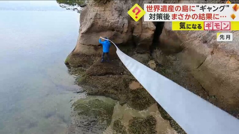 カワウを追い払うため、テープを張り巡らせる様子