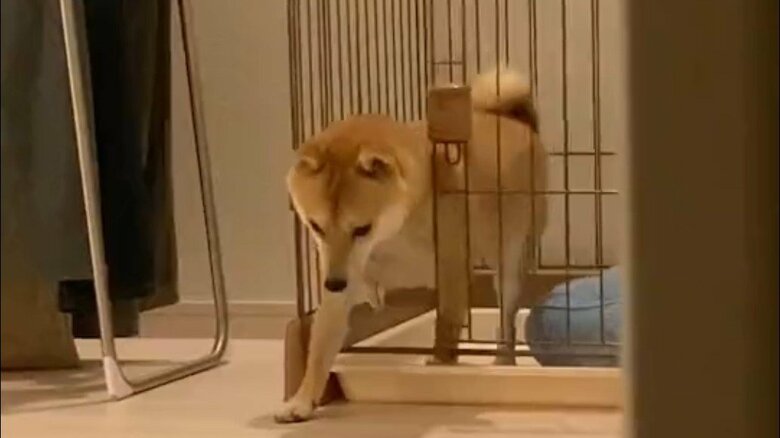 そろりと右手を部屋に…