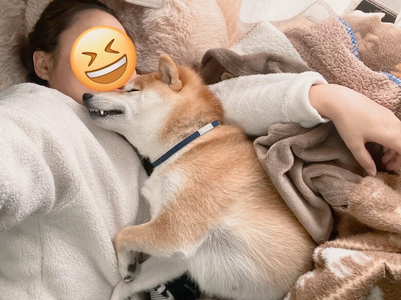 甘えん坊な松くん