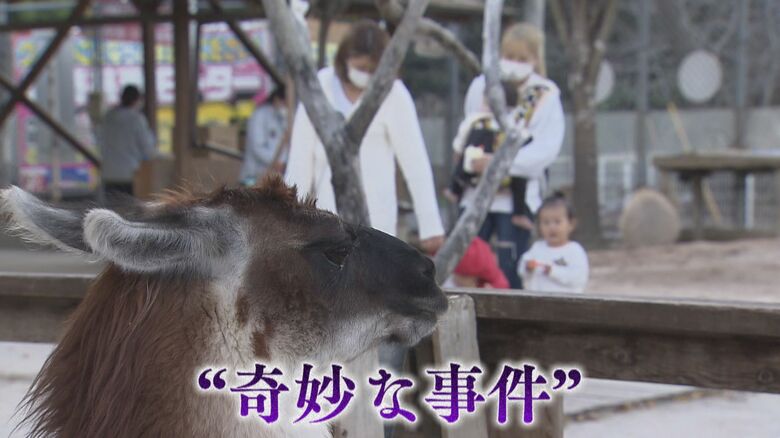 平和な動物園で何が…