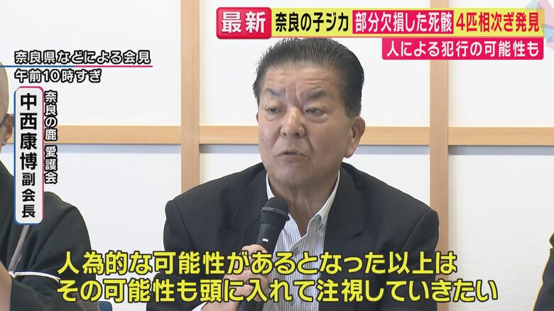 奈良の鹿愛護会 中西康博副会長（関西テレビ「旬感LIVEとれたてっ！」より）
