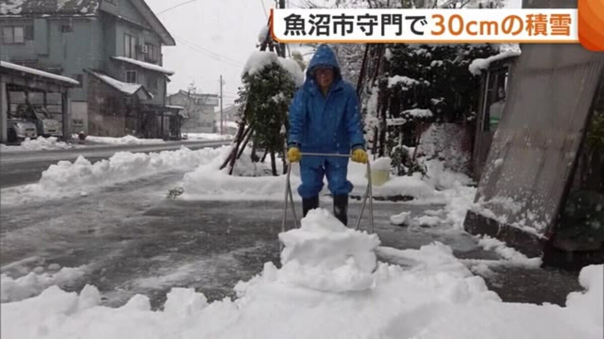 平年の15倍!? 新潟・魚沼市で30cmの積雪「初雪にしてはけっこう多い