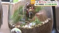 瓶の中に自分だけの世界にワクワク　松山に“苔テラリウム”期間限定ショップ「見ていて安らぎ」【愛媛】