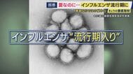 「インフルなんか考えてもなかった」過去2番目の速さでインフルエンザ流行期入り　“今が冬の南半球との往来活発・猛暑で換気できず”流行か　「下水から流行中の『型』までリアルタイムでわかる」最新研究も