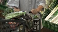 「本当につらい」食欲の秋に値上げの波　10月は3100品目超　葉物野菜も調味料も…食卓を直撃