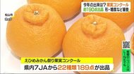 県内かんきつの今年の出来は 果実コンクール審査会 7JAから約190点が出品【愛媛】