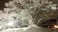 氷点下の冷え込み「雪の華」平地10センチ超の積雪も天気は回復 来週は新たな寒波に注意(大山・智頭町)