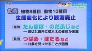 生物季節観測 佐賀では植物8種 動物は全10種が廃止 生態系の変化…