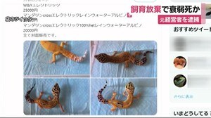 飼育放棄で衰弱死か 元ペットショップ経営者を逮捕 白骨化した死がいを放置 浜松市