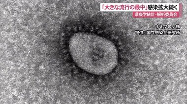 沖縄の感染拡大続く見通し 疫学統計・解析委員会