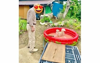水を溜めていたらフライング？初めての“おうちプール”でドボンする犬がかわいい…水遊びを堪能できたのか聞いた