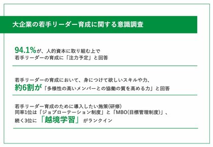 【独自調査レポート】人的資本経営を行う大企業の94.1%が「若手リーダー育成に注力予定」と回答!若手リーダー育成のために導入したい施策(研修)、TOP3は...?