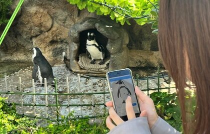 サンシャイン水族館で“推し”のペンギンが見つかる!?明治大学の学生が開発した日本初の個体識別システムで新感覚の生き物観察体験