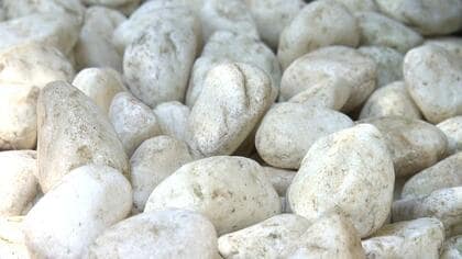 願いが叶う不思議な石! 長い階段を乗り越えた先にある言い伝えとは　掛川市・事任八幡宮