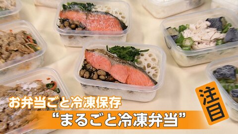 「毎日のお弁当が大変」まとめて楽ちん！“作り置き冷凍弁当”　包丁やフライパン不要のレシピも、正しい持ち運び方は？