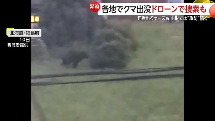 北海道・福島町の市街地に現れたクマ