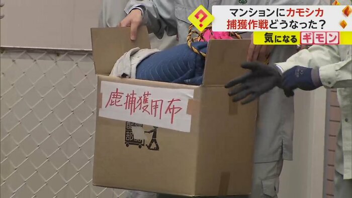 「鹿捕獲用布」の文字が書かれたダンボール