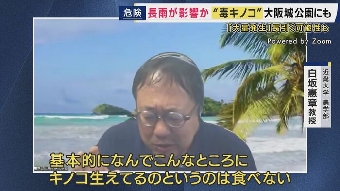 毒キノコには細心の注意を