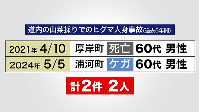 道内の山菜取りでのヒグマ人身事故(過去5年間)