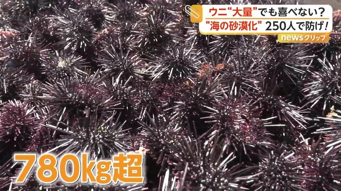 1時間ほどで取り除いたウニ