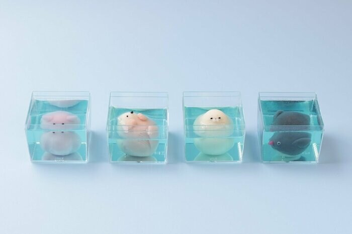 左からメンダコ、ラッコ、あざらし、アデリーペンギン