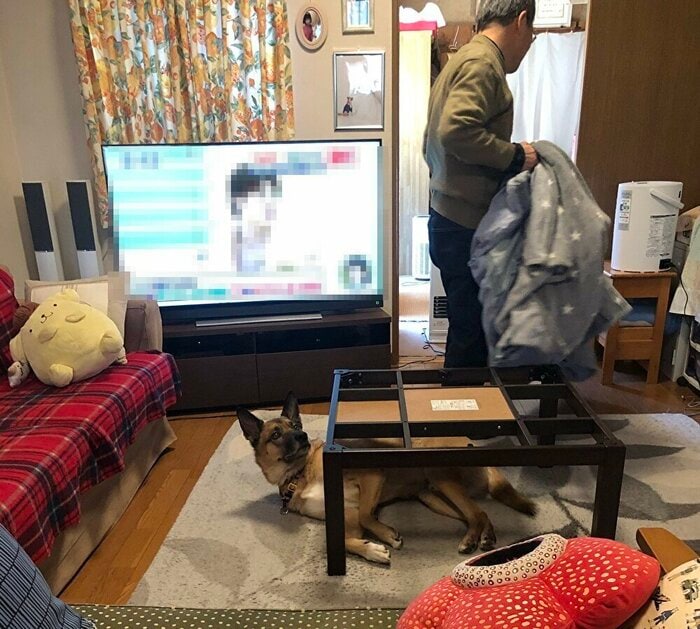 こたつ布団がなくなった!?
