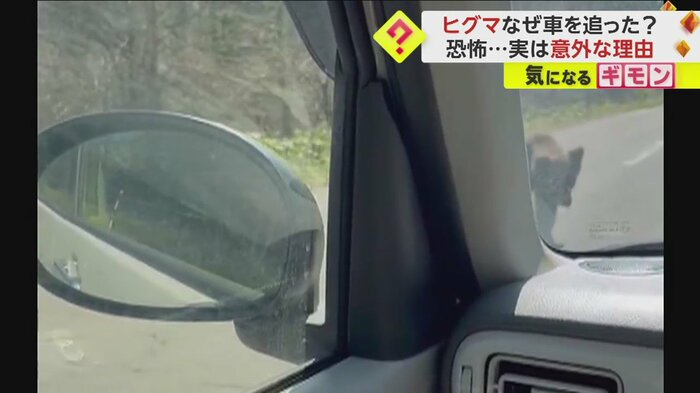 車の方へ近づいてくるクマ(視聴者撮影)