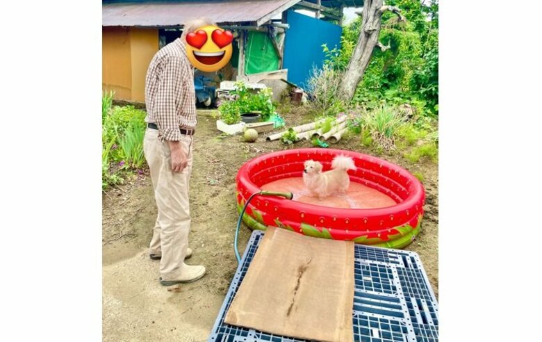 水を溜めていたらフライング？初めての“おうちプール”でドボンする犬がかわいい…水遊びを堪能できたのか聞いた｜FNNプライムオンライン